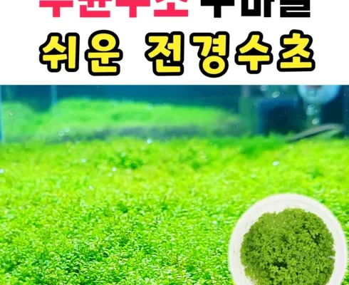 인싸템~~ 쿠바펄 완전좋아!!!