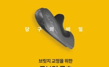 인생템 당구브릿지 제품리뷰